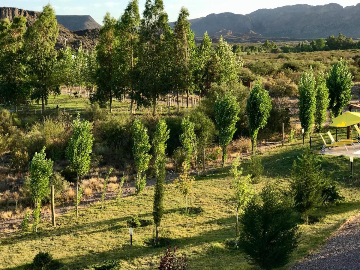 Cabanas Econature Valle Grande  المظهر الخارجي الصورة