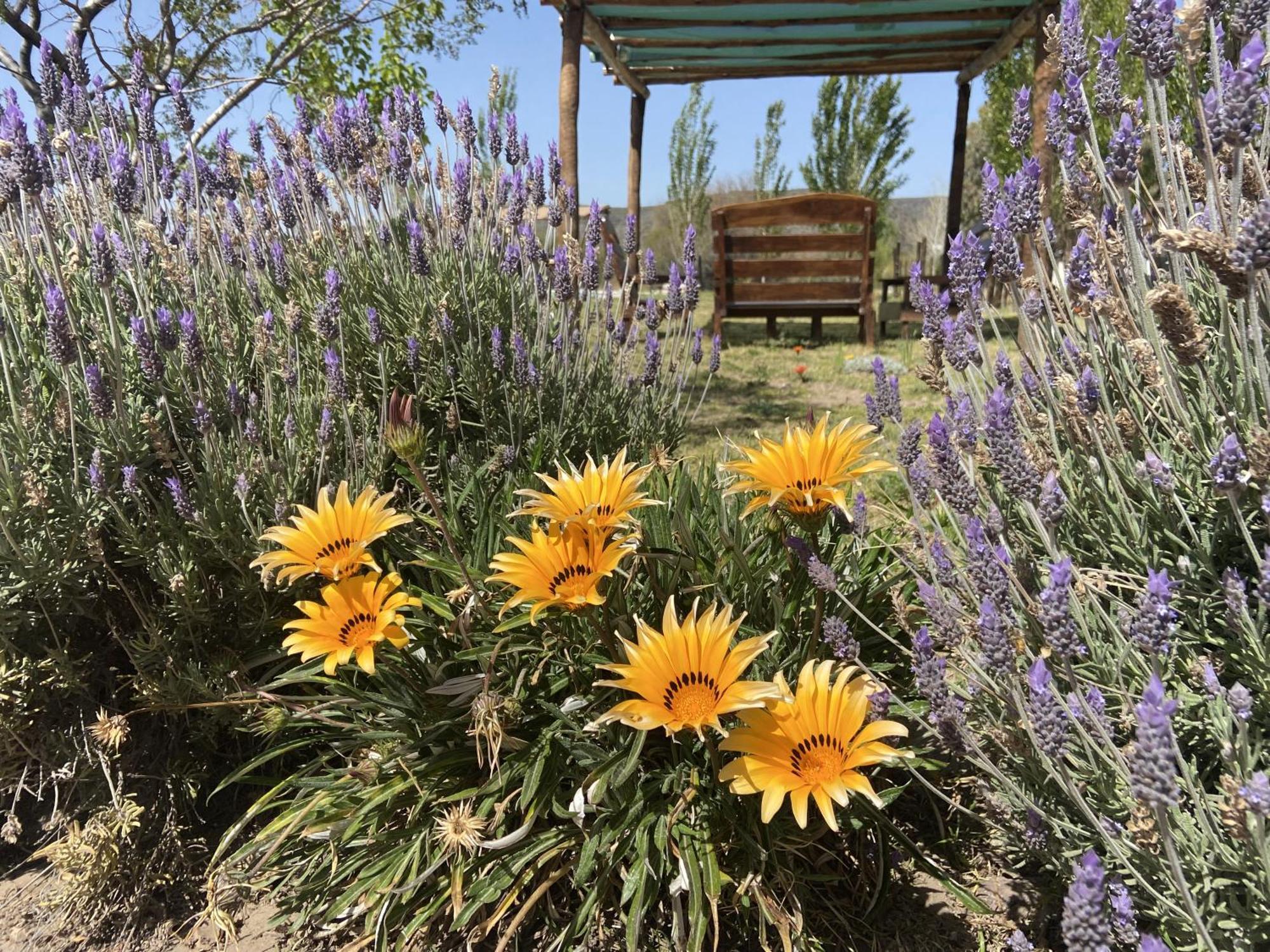 Cabanas Econature Valle Grande  المظهر الخارجي الصورة